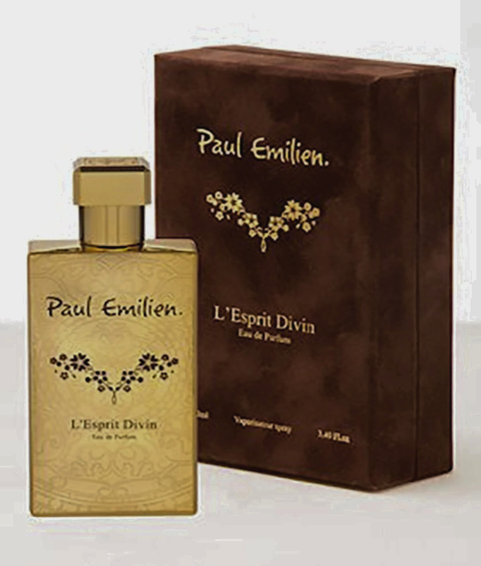 Paul Emilien L'Esprit Divin EDP